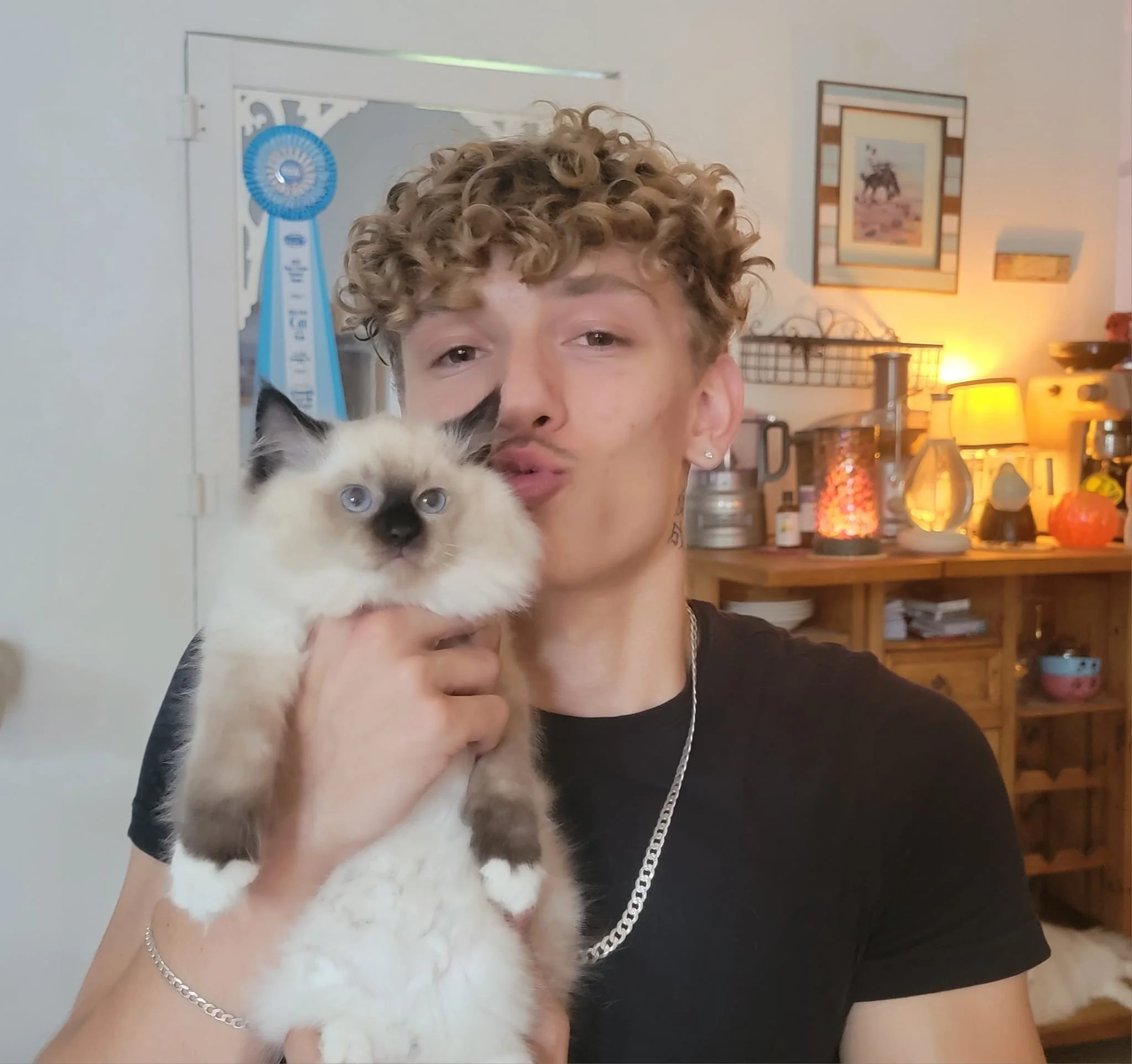 A young adopter giving his Ragdoll kitten a kiss