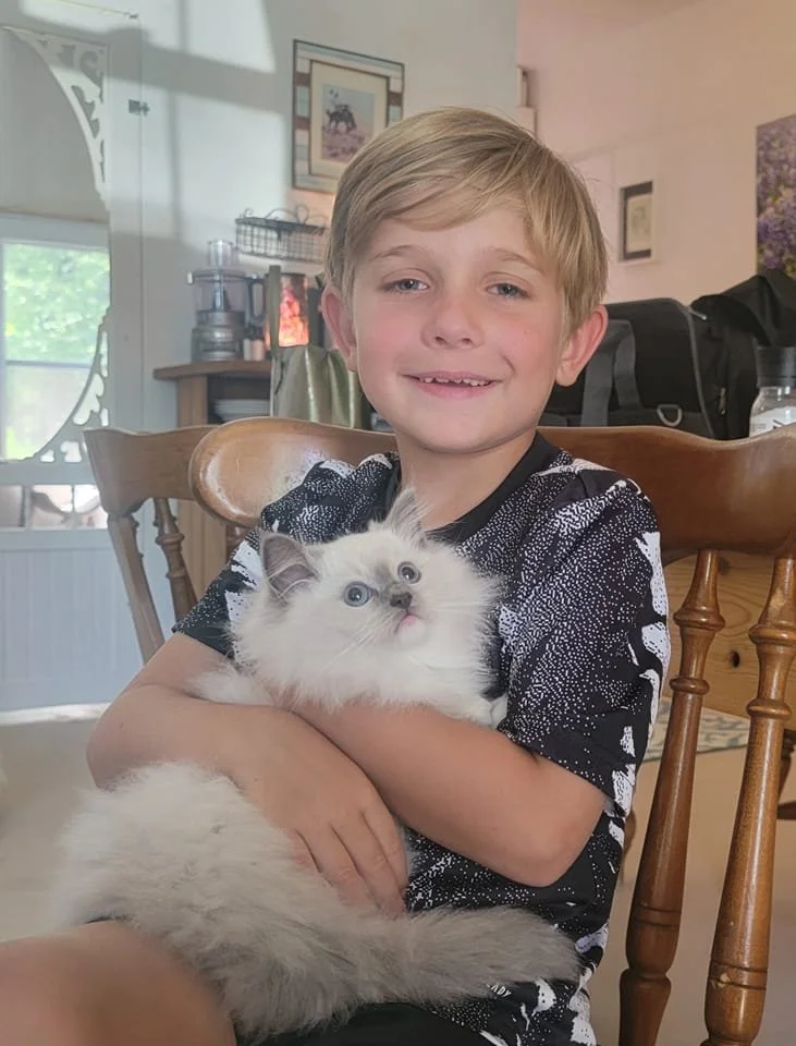 A young boy cradling his Blossoms kitten in a wooden chair