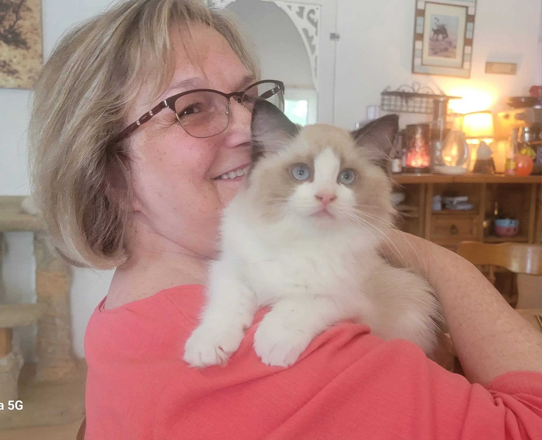 An adopter holding her bicolor Ragdoll at home